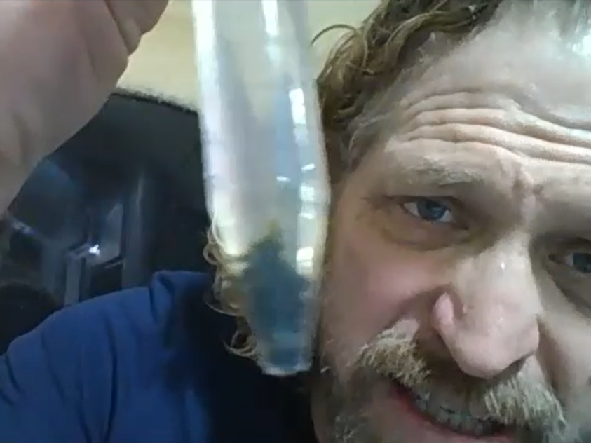 Scientist living underwater for 100 days discovers ‘brand new species